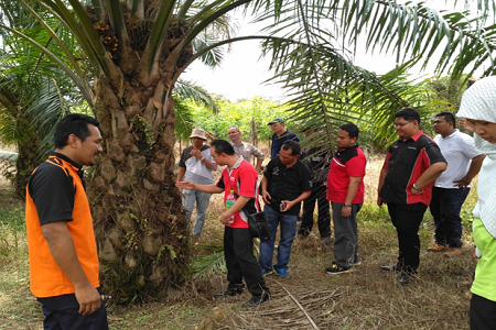 Pegawai TPU UPM (berbaju oren) memberi taklimat berkenaan pengurusan tanaman kelapa sawit